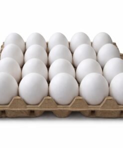 পোলট্রি মুরগির ডিম