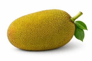 কাঁঠাল kacha (Jackfruit) 1pic