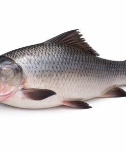 রুই -Rohu 500gm