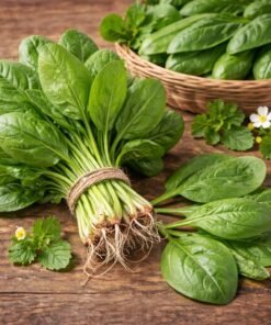 পালং শাক (Spinach) 1kg
