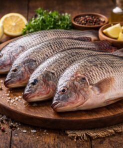 তেলাপিয়া-Tilapia 500mg